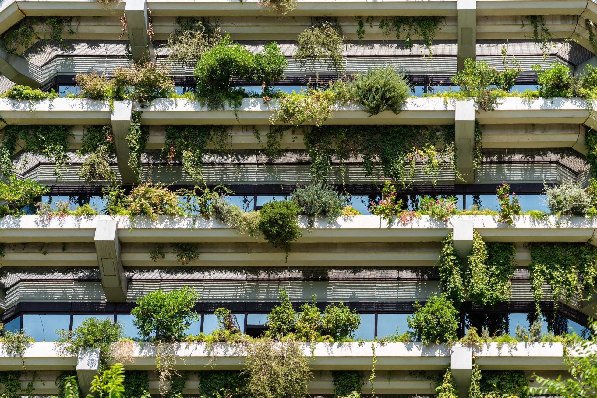 Apartamentos Sustentáveis: Viva em Harmonia com o Meio Ambiente em um Vitacon